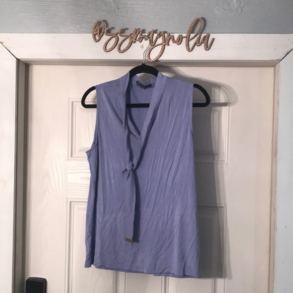 Cornflower Sleeveless V Neck